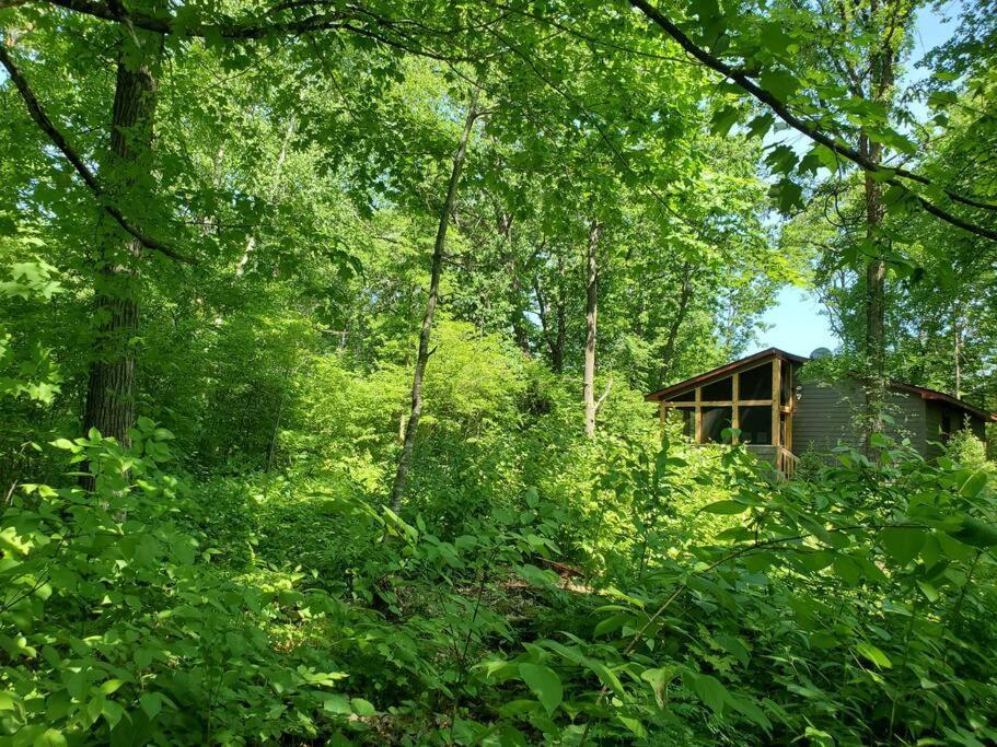 הוילה Pine City Wilderness Meadows מראה חיצוני תמונה