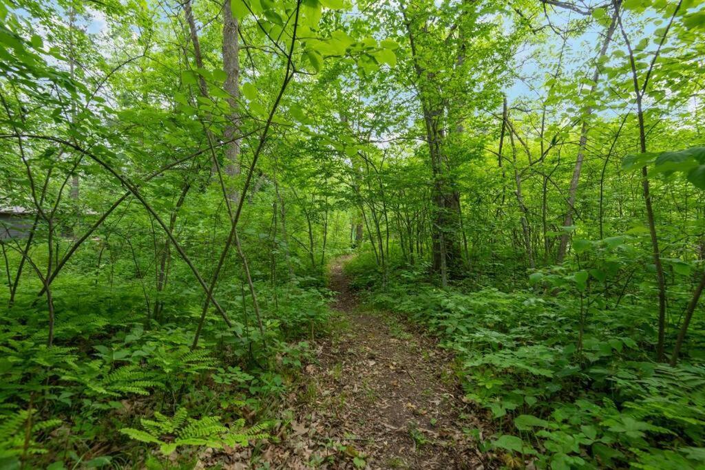 הוילה Pine City Wilderness Meadows מראה חיצוני תמונה
