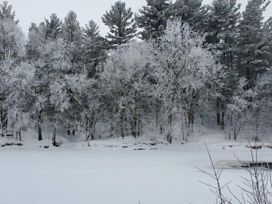 הוילה Pine City Wilderness Meadows מראה חיצוני תמונה